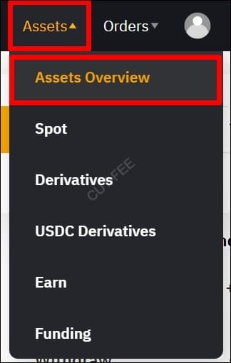 Assets Overview